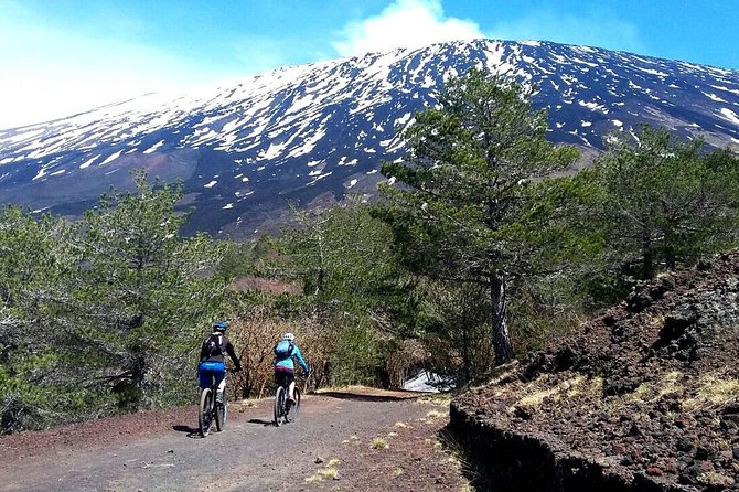 Etna in MTB Half Day Small Group - Frequently Asked Questions