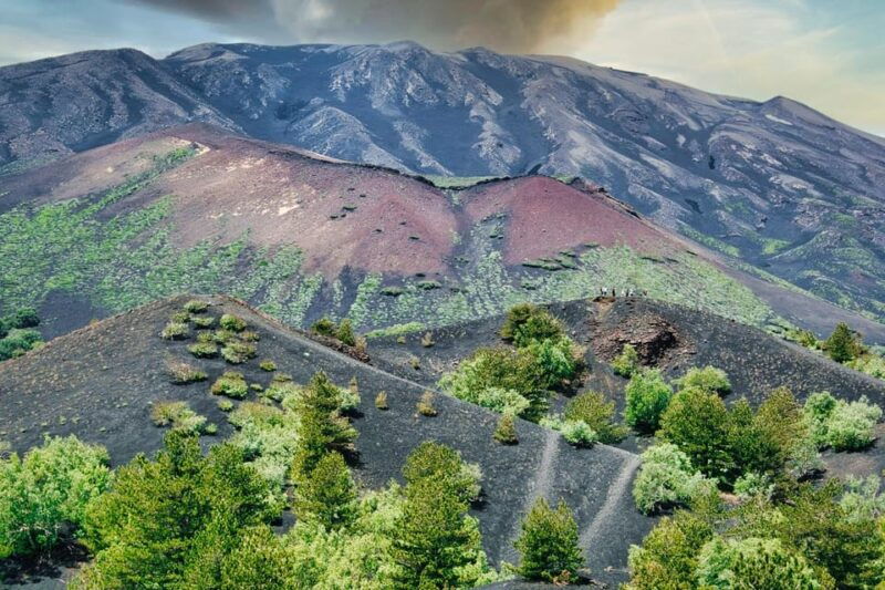 Etna Monti Sartorius, Ancient wine cellar Slow Food tasting - Final Thoughts: Who Should Consider This Tour?