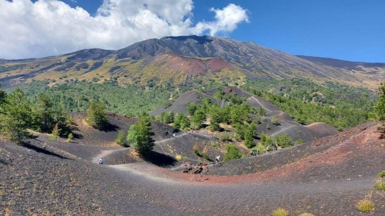 Etna Morning Tour: an adventurous journey to discover Etna. - Why This Tour Offers Great Value