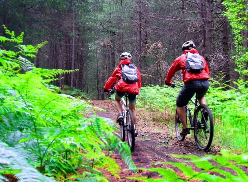 Etna: Mountain Bike or E-Bike Tour on Mount Etna - Good To Know
