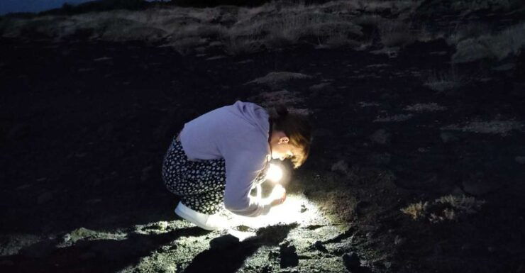 Etna Night Trekking - Night Trekking Experience Overview