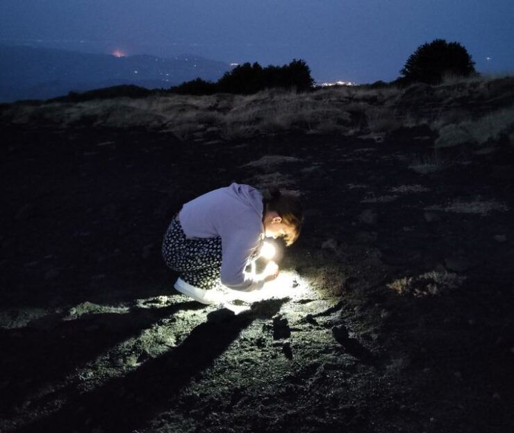 Etna Night Trekking - Activity Details and Booking Options