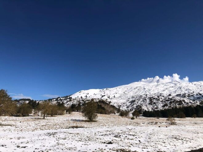 Etna North: Panoramic Trekking for Explorers - Reservation Guidelines