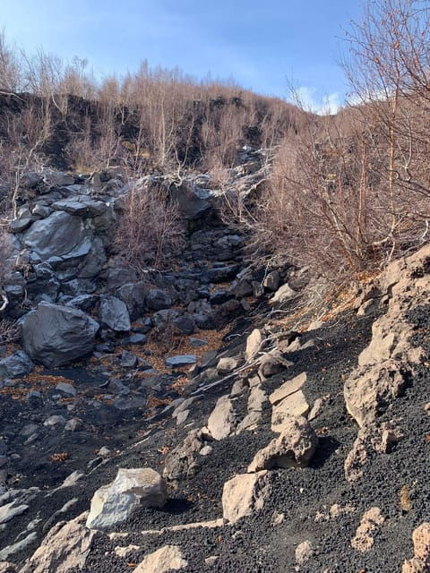 Etna North: Panoramic Trekking for Explorers - Health and Safety Considerations