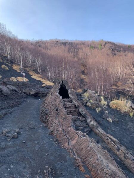 Etna North: Panoramic Trekking for Explorers - Tips for Explorers