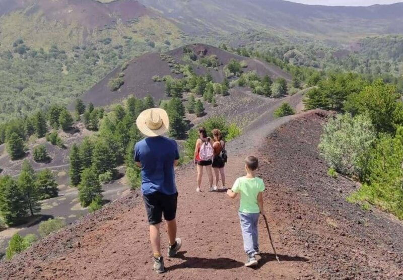 Etna North: Private Trekking and Wine tasting with light lunch - Good To Know