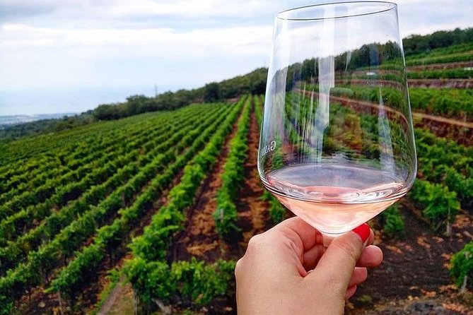 Etna Panoramic Private Tour+Wine Taste&Food Combination(Amazing) - Tour Overview
