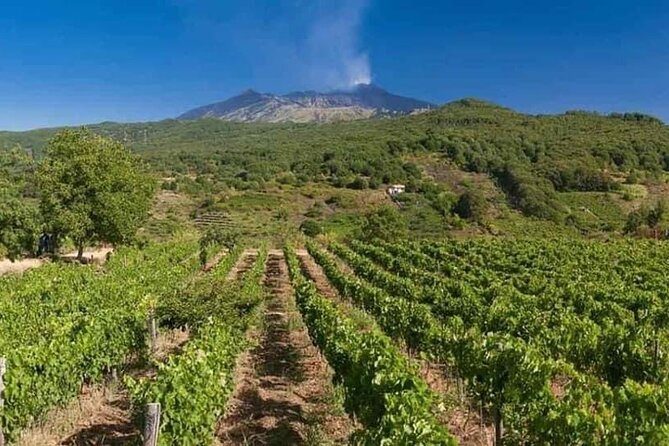 Etna Panoramic Private Tour+Wine Taste&Food Combination(Amazing) - Tour Details