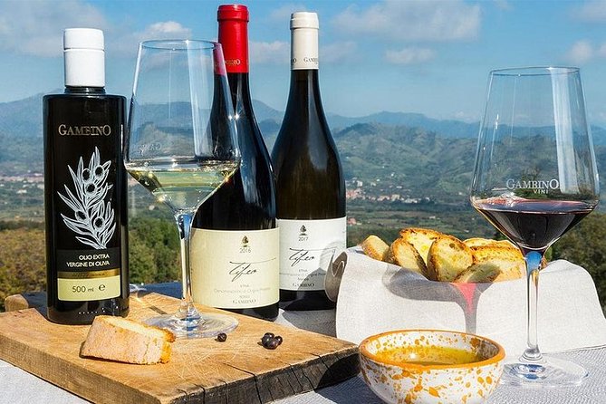 Etna Panoramic Private Tour+Wine Taste&Food Combination(Amazing) - Frequently Asked Questions