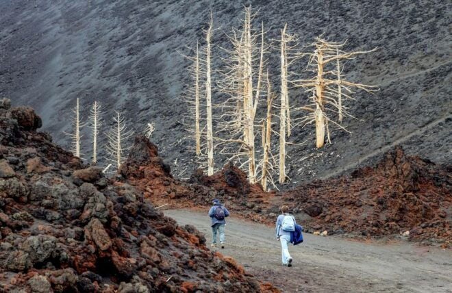 Etna: Private 4x4 Tour With Hotel Pick-Up From Catania - Vehicle Experience