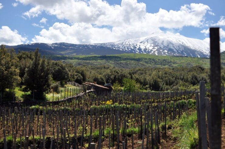 Etna Quad & Wine Combo Private Tour - Booking Information