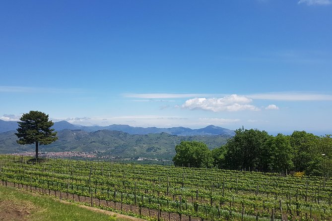 Etna Scenic Tour & Wine Experience (Day Trip) - Cancellation Policy