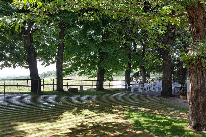 Etna Scenic Tour & Wine Experience (Day Trip) - Duration and Opening Hours