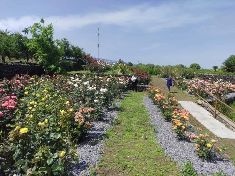 Etna & Sea: Pic Nic in Batia - Discovering the Experience: A Detailed Look