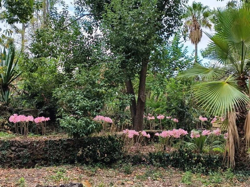 Etna & Sea: Pic Nic in Batia - Authentic Experiences and Reviewer Insights