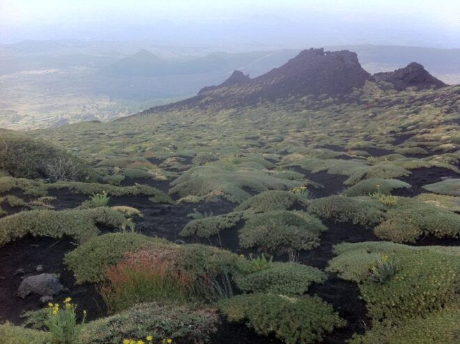Etna: Sunset Tour on the Volcano - Tour Highlights
