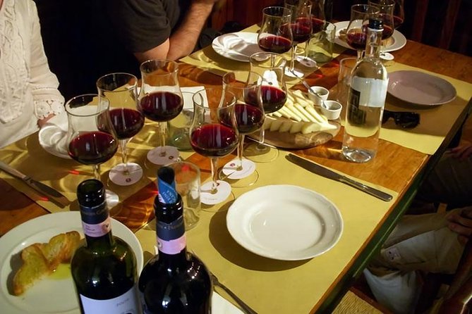 Etna Tour and Lunch in a Winery With Wine Tasting - Tour Overview