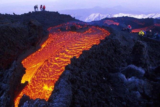 Etna Tour and Lunch in a Winery With Wine Tasting - Driver and Tour Experience