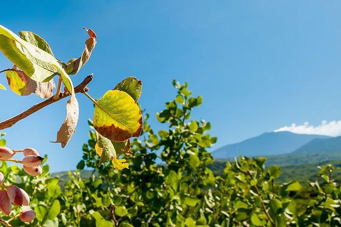 Etna Tour and Pistachio Lunch - Sicily Hiking Tour - Itinerary Overview