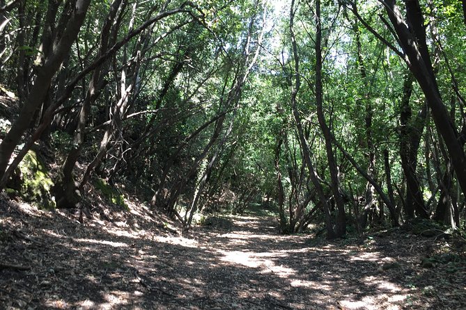 Etna Tour for Cruises - End of Tour Arrangements