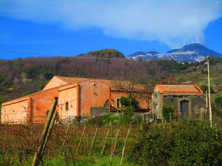 Etna: Tour in a Vintage Car With Cooking Class and Pickup - Full Tour Description