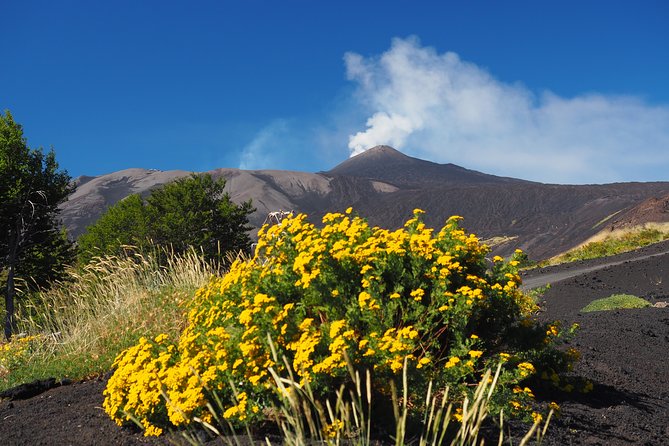 ETNA - Trekking to the Craters Eruption of 2002 - Recommended Tour Operators and Guides