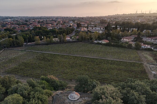 Etna Urban Winery Morning Vineyard Walk and Tasting - Start Time and Schedule