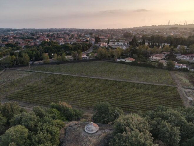 Etna Urban Winery - Sicilian Lunch With Wine Tasting - Customer Reviews