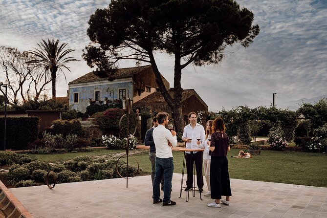 Etna Urban Winery - Vineyard Walk and Tasting Experience - Overview and Logistics