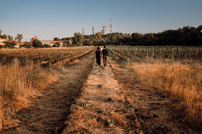 Etna Urban Winery - Vineyard Walk and Tasting Experience - Additional Information