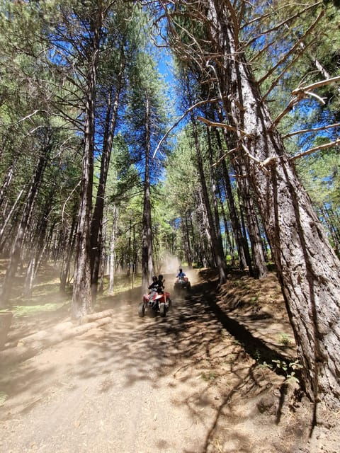 Etna volcano: Etna grand tour by quad bike with cave and lava flow visit - What’s Included and What to Prepare