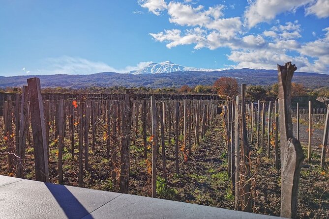 Etna Wine and Alcantara - Overview of the Tour