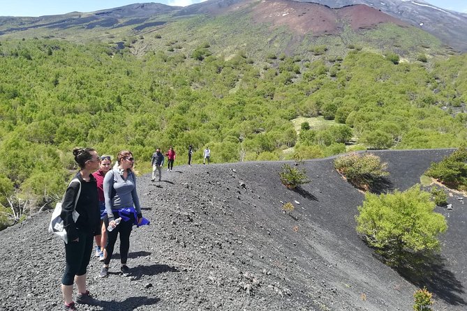 Etna, Wine and Alcantara Tour - From Taormina - Tour Highlights