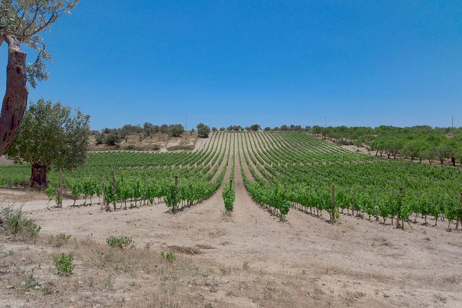 Etna Wine and Food Volcanic Weekend Immersion Tour (Private Experience) - Mt. Etna Exploration