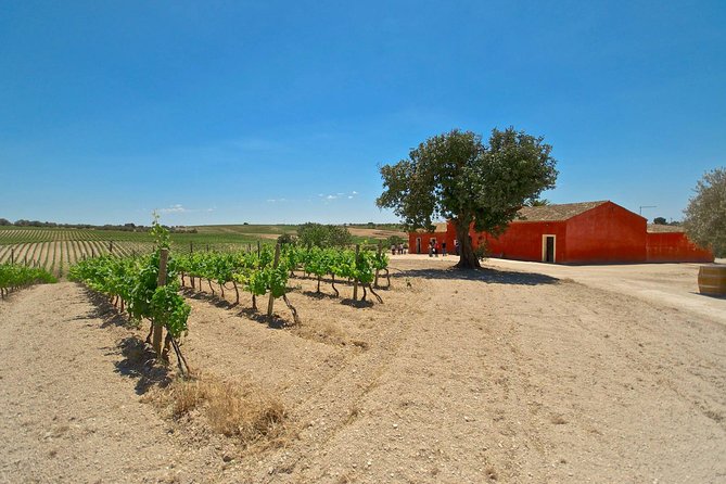 Etna Wine and Food Volcanic Weekend Immersion Tour (Private Experience) - Reviews and Pricing