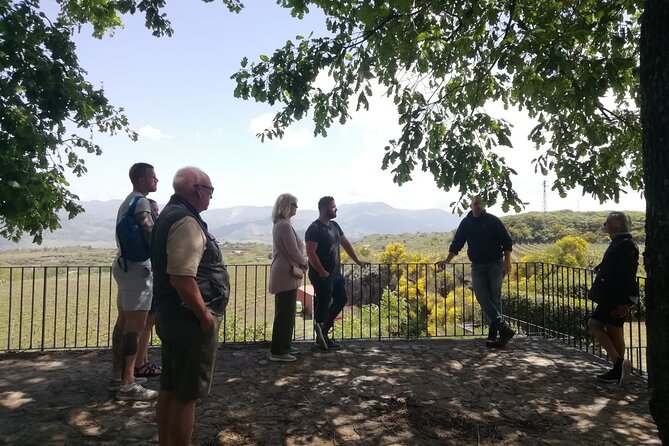 Etna Wine And Taormina From Messina - Visiting a Local Winery