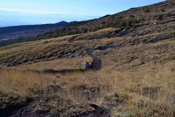 Etna Wine: Discovering the Volcano & Enjoying a Wine Tasting - Etna Wine Tour Overview
