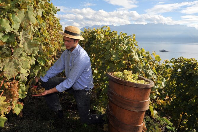 Etna Wine & Food Tasting Plus Honey Laboratory Private Tour - Itinerary Details