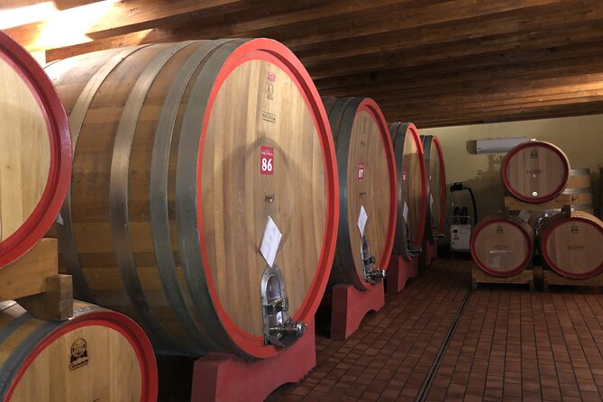 Etna Wine Tour - Inclusions and Logistics