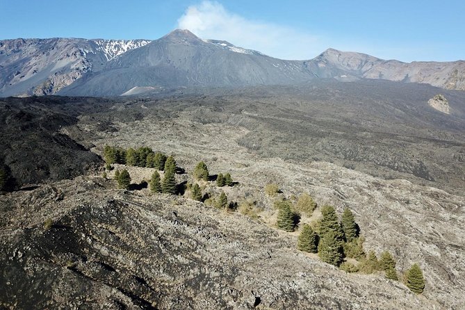 Etna Wine Tour Experience - Booking Information