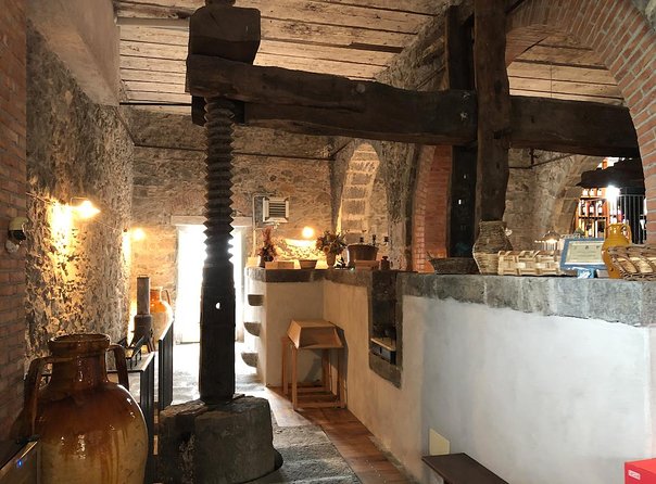 Etna Wine Tour Experience - Reviews and Ratings