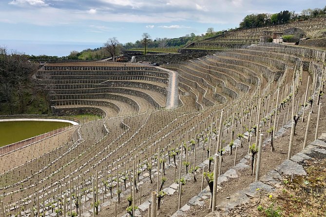 Etna Wine Tour Experience - Frequently Asked Questions