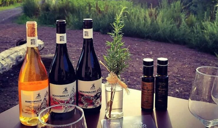 Etnas Fine Wines: Tasting and Winery Tour - Good To Know