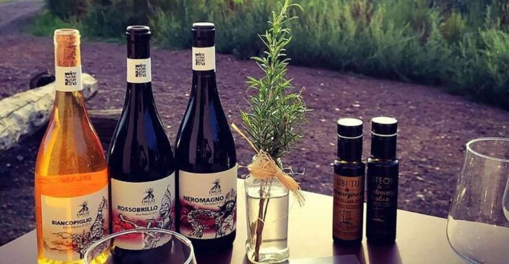 Etnas Fine Wines: Tasting and Winery Tour - Tour Pricing and Duration