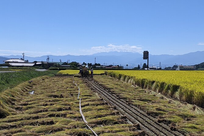Etour De Matsumoto - Electric Bike Tour - Common Questions