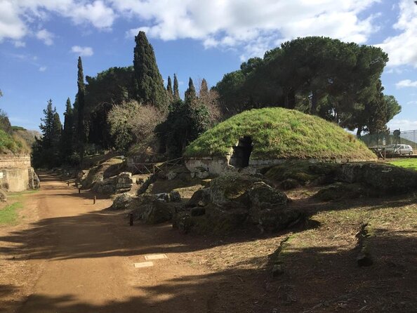 Etruscan Highlights of Tarquinia and Cerveteri From Rome - Recommended Private Transport Options