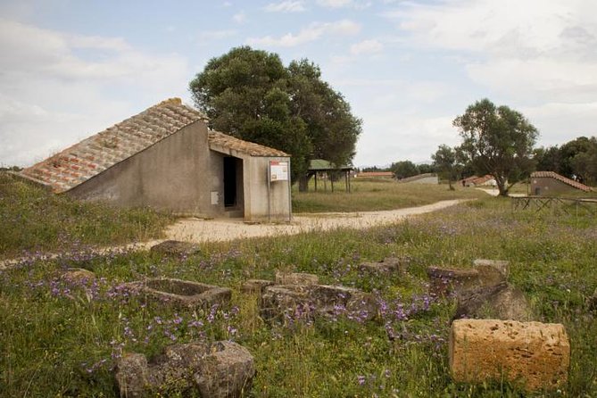 Etruscan Wonders With Driver Private Day Trip From Rome by Car - Pricing and Booking Information