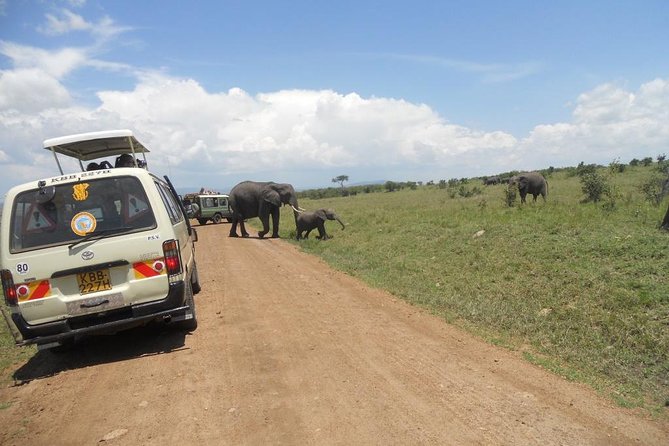 Ets N361 3days 2nights Safari To Masai Mara With Balloon Experience - Additional Information