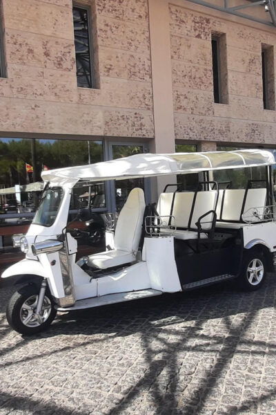 Etuk Tuk Tour Experience in Albufeira - Flexible Booking