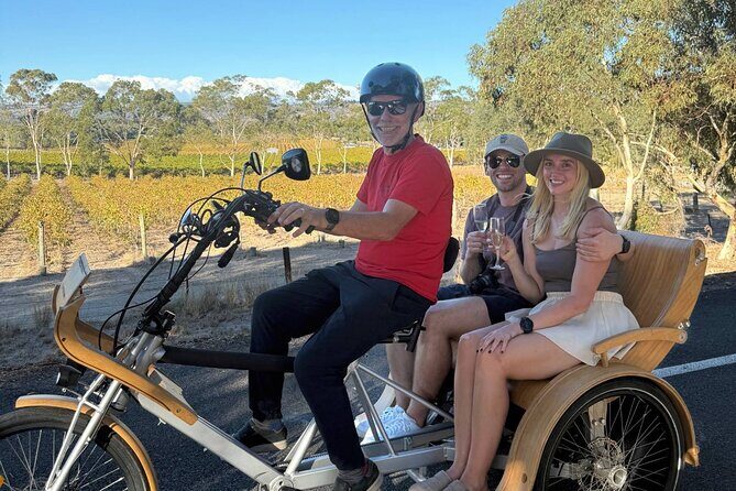 eTukTuk Adventure from Oxenberry Farm in McLaren Vale - Good To Know